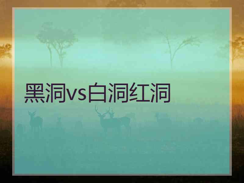 黑洞vs白洞红洞