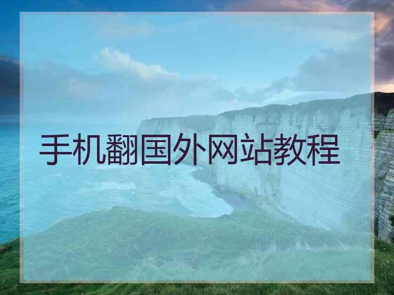手机翻国外网站教程