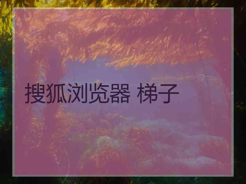 搜狐浏览器 梯子