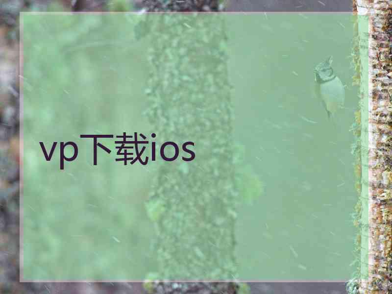 vp下载ios