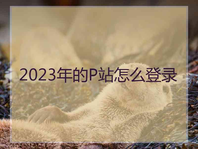 2023年的P站怎么登录