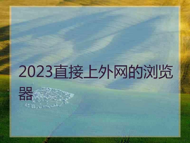 2023直接上外网的浏览器