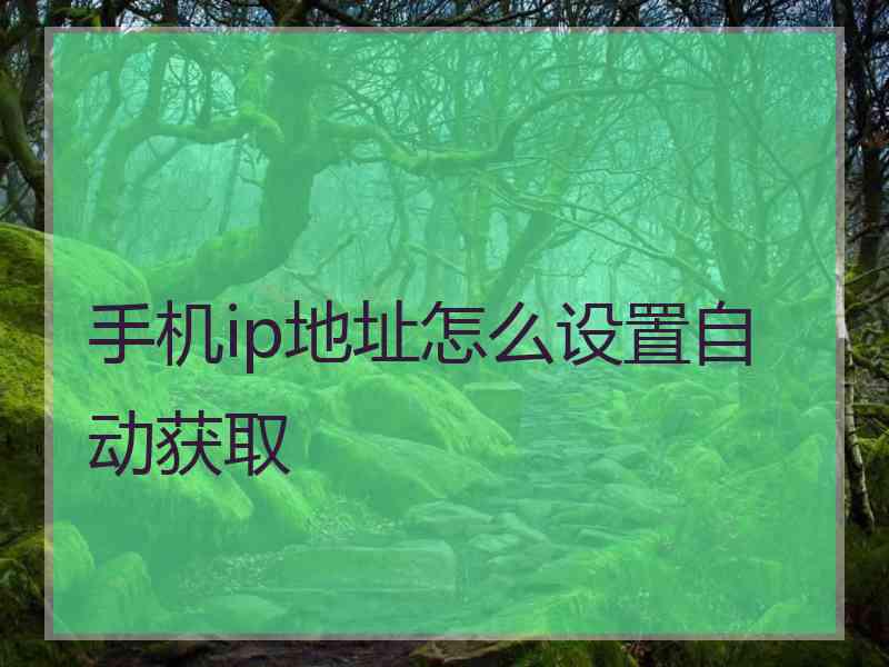 手机ip地址怎么设置自动获取