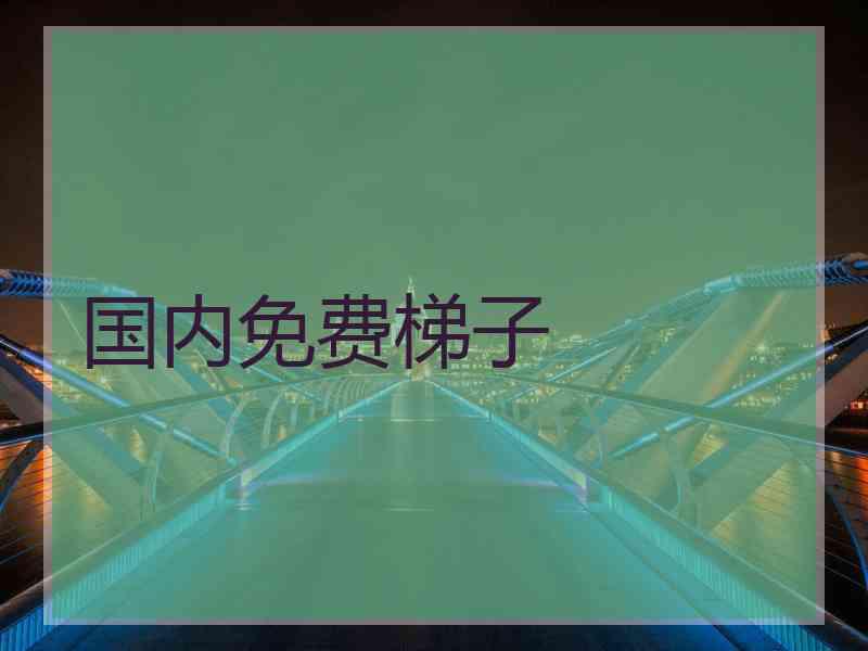 国内免费梯子