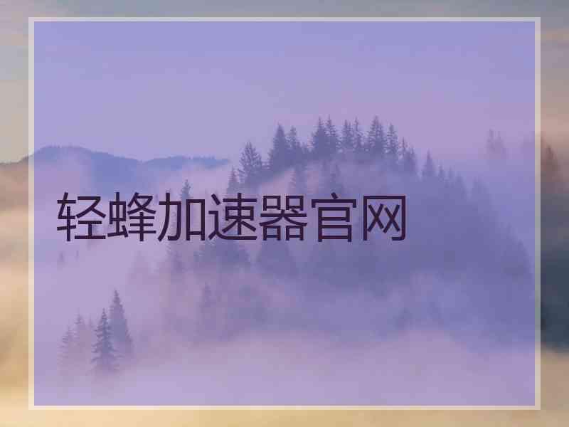 轻蜂加速器官网