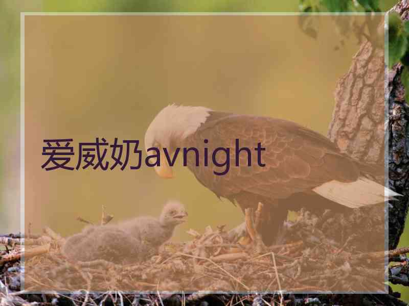 爱威奶avnight