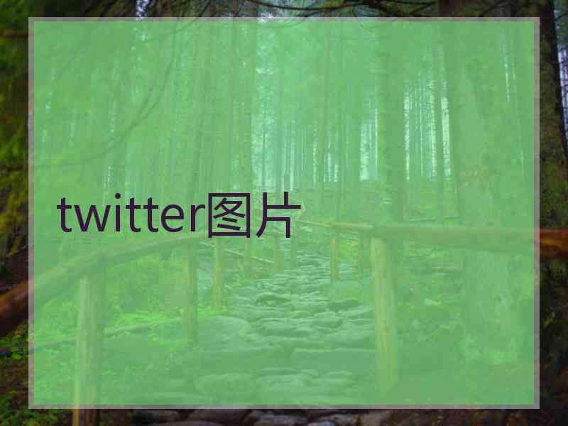 twitter图片