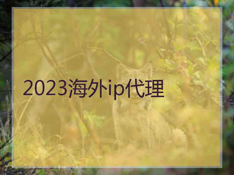 2023海外ip代理
