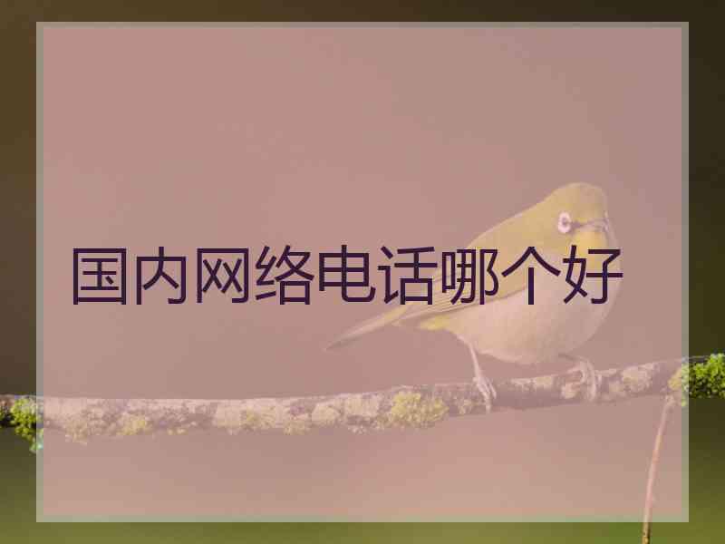 国内网络电话哪个好