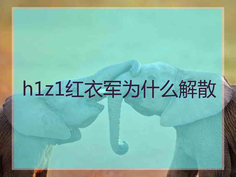 h1z1红衣军为什么解散