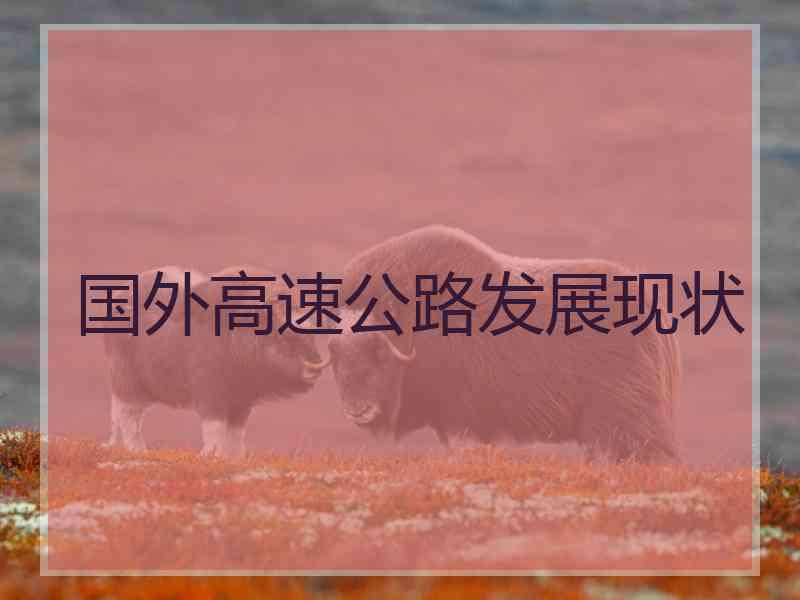 国外高速公路发展现状