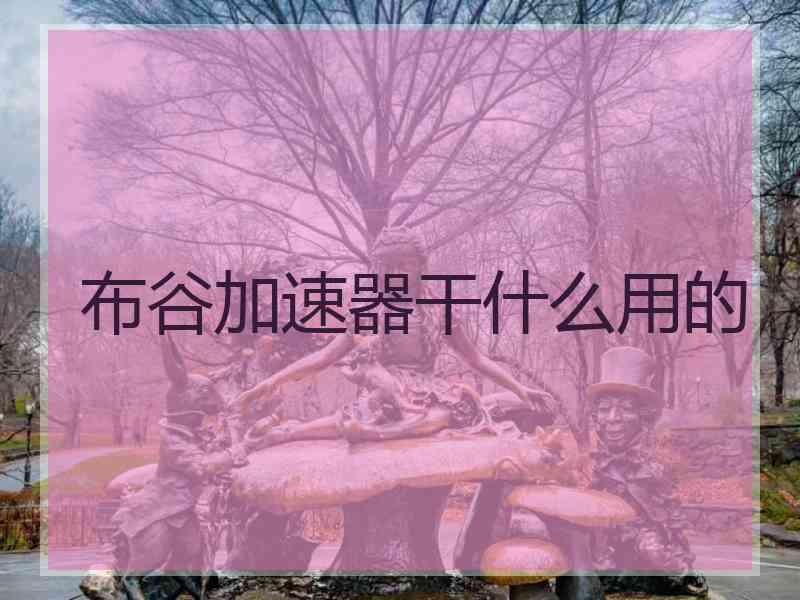 布谷加速器干什么用的