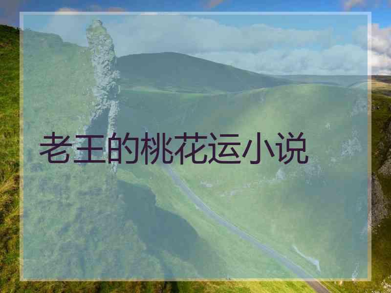 老王的桃花运小说