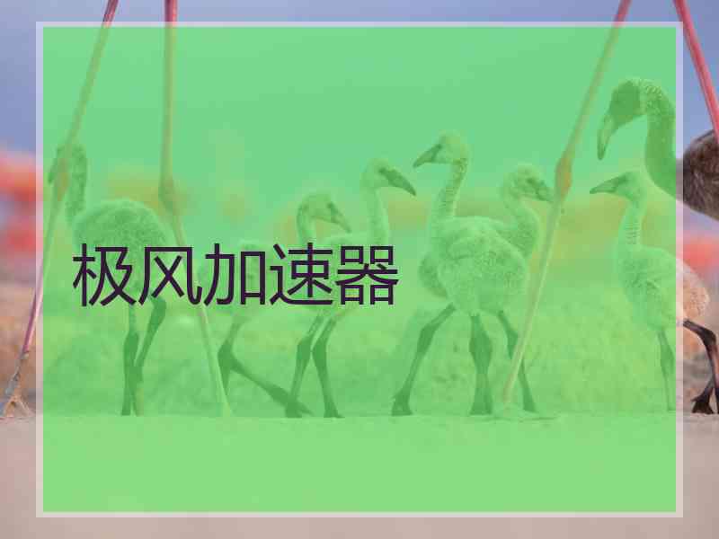 极风加速器