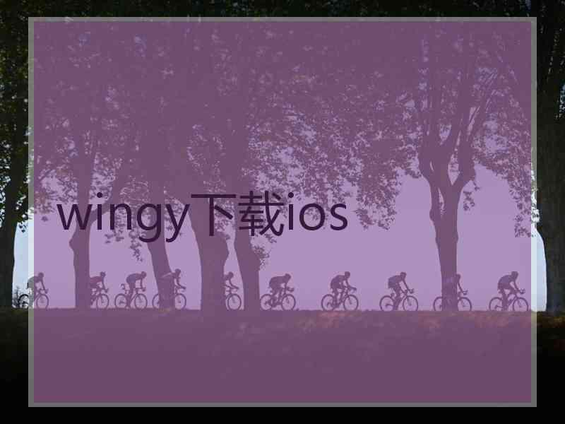 wingy下载ios
