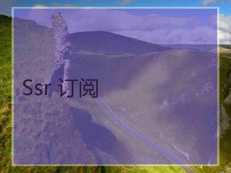 Ssr 订阅
