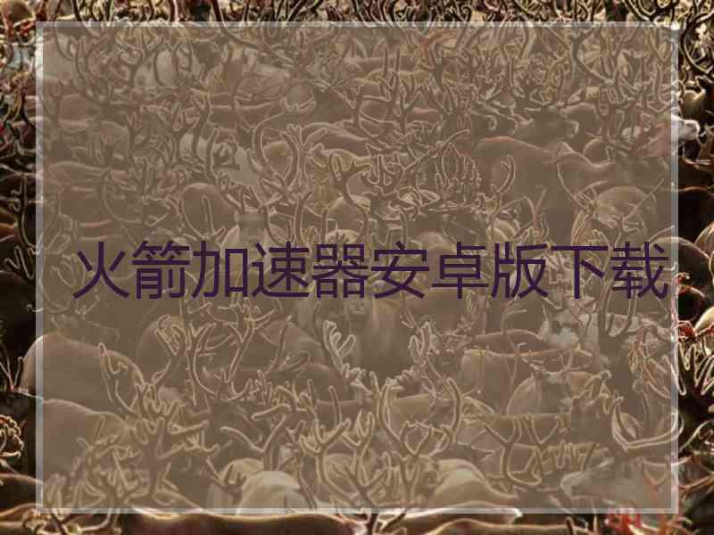 火箭加速器安卓版下载