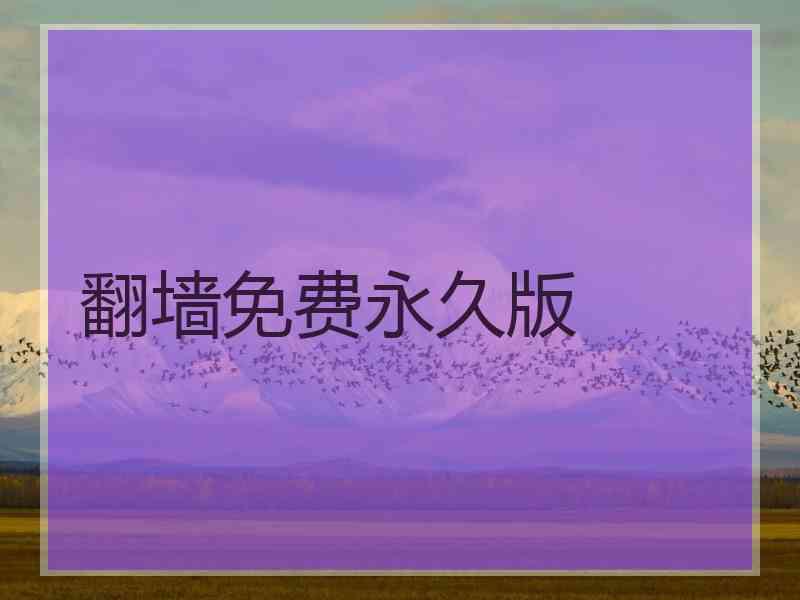 翻墙免费永久版