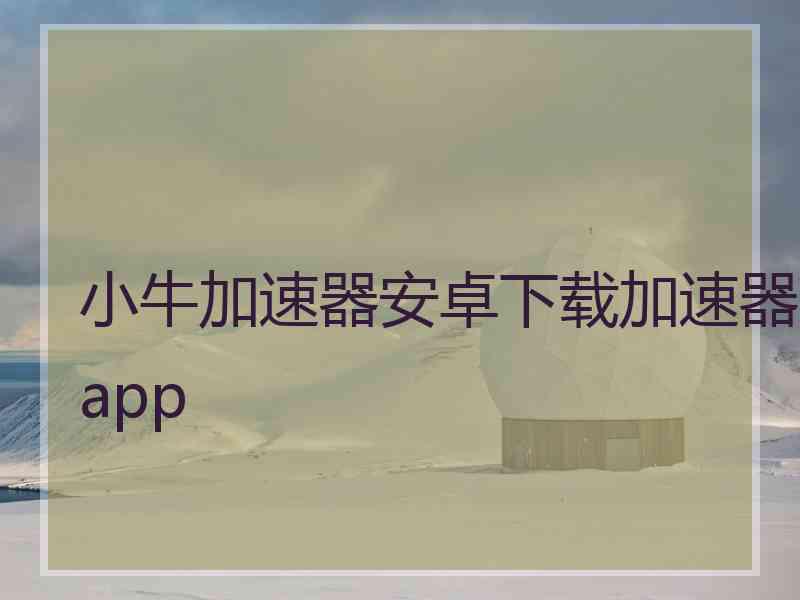 小牛加速器安卓下载加速器app