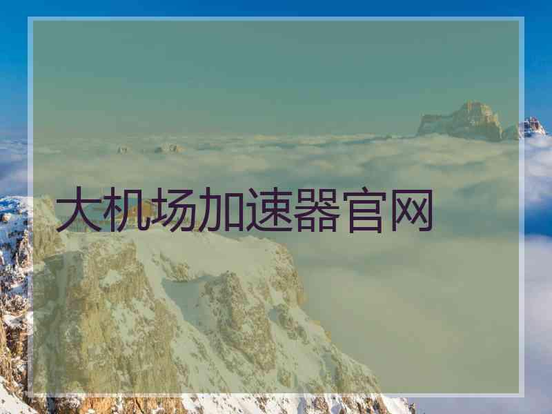 大机场加速器官网