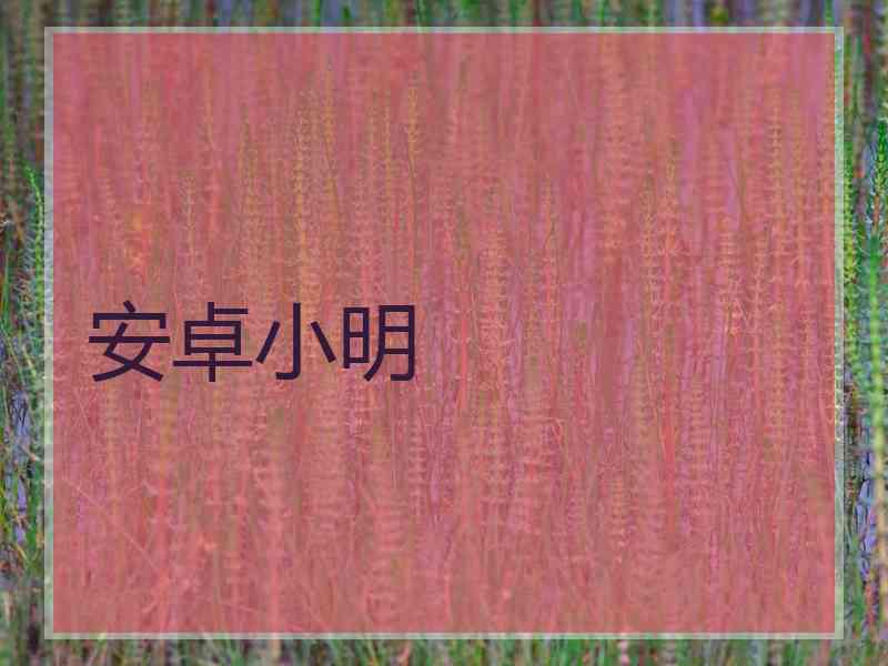 安卓小明