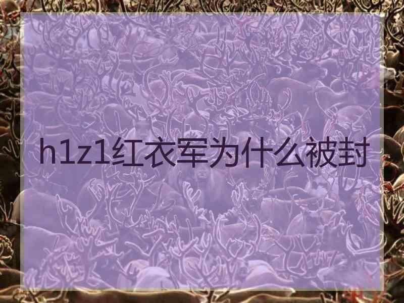 h1z1红衣军为什么被封