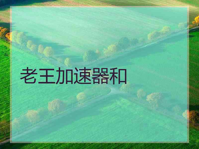 老王加速器和