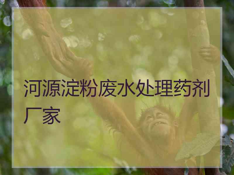 河源淀粉废水处理药剂厂家