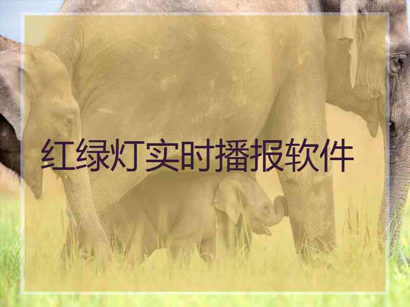 红绿灯实时播报软件