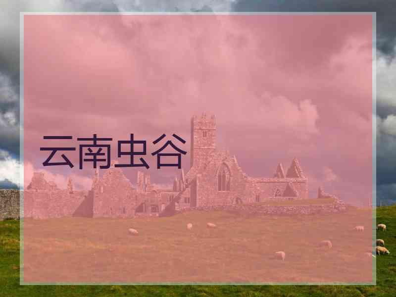 云南虫谷