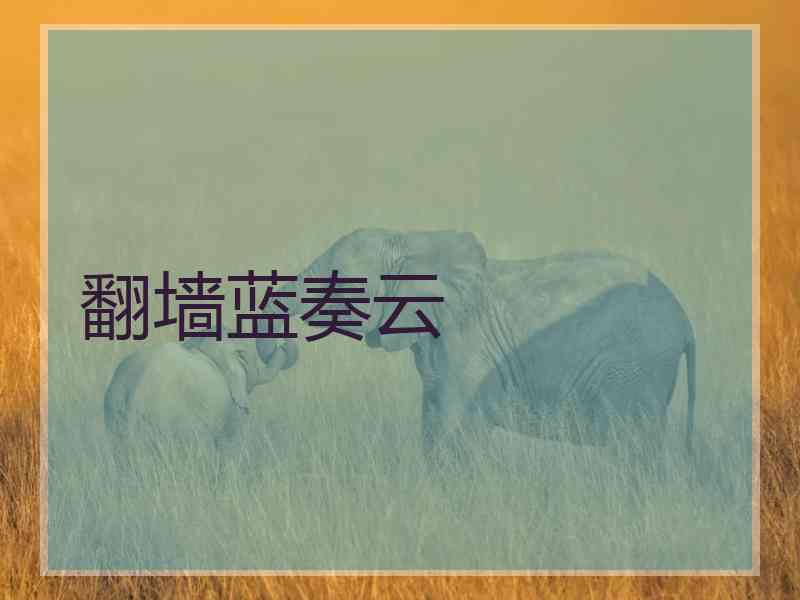 翻墙蓝奏云