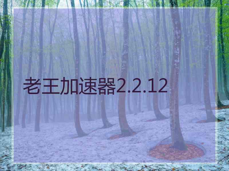 老王加速器2.2.12