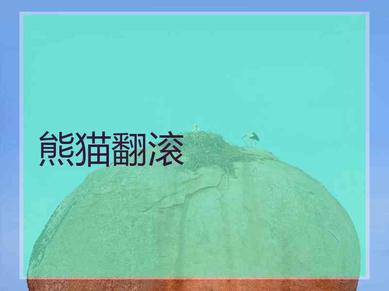 熊猫翻滚