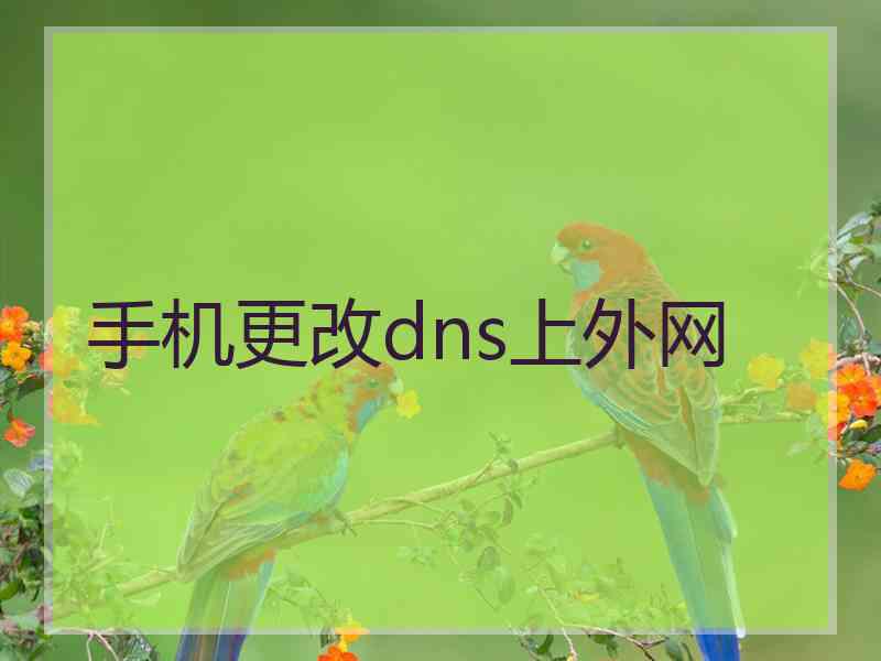 手机更改dns上外网