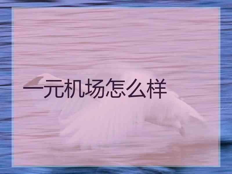 一元机场怎么样