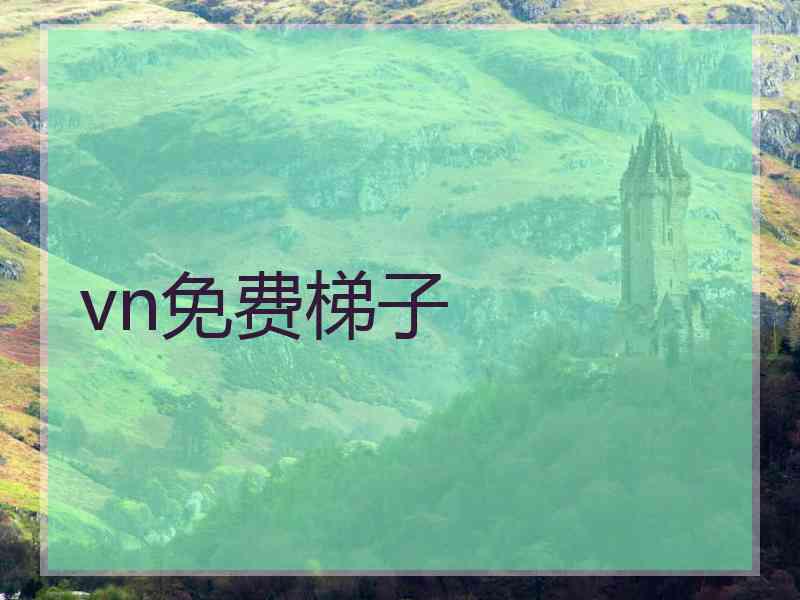 vn免费梯子