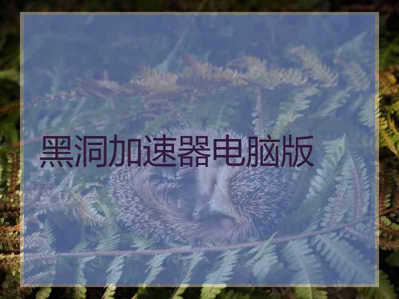 黑洞加速器电脑版