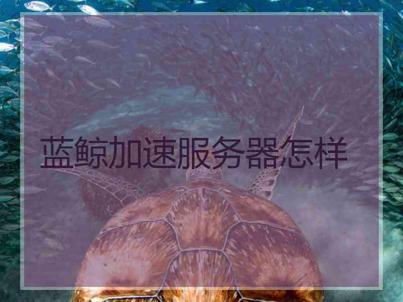 蓝鲸加速服务器怎样
