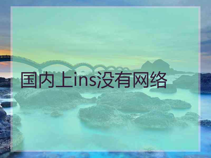 国内上ins没有网络