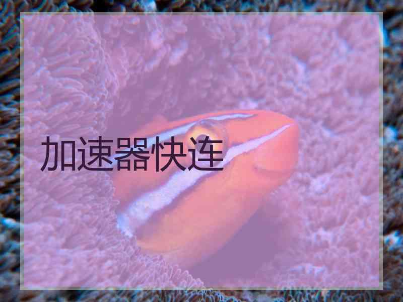 加速器快连