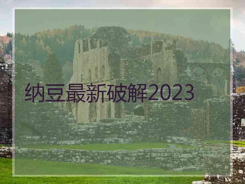 纳豆最新破解2023