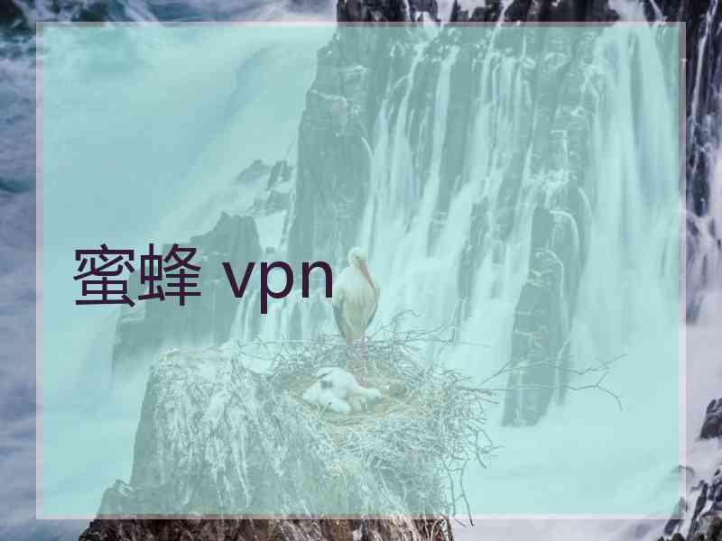 蜜蜂 vpn