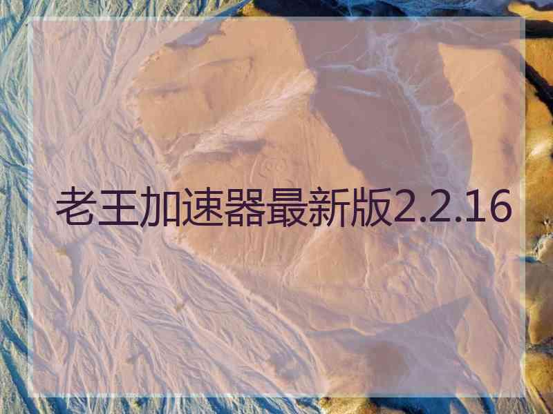 老王加速器最新版2.2.16