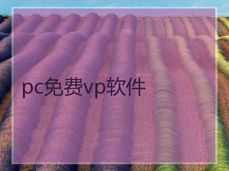 pc免费vp软件