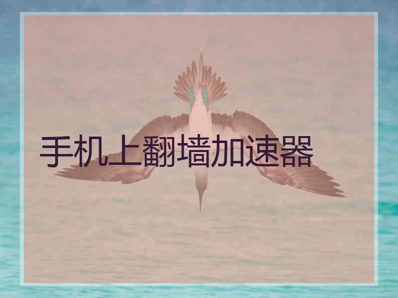手机上翻墙加速器