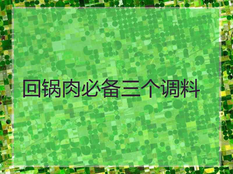 回锅肉必备三个调料 回锅肉必备三个调料