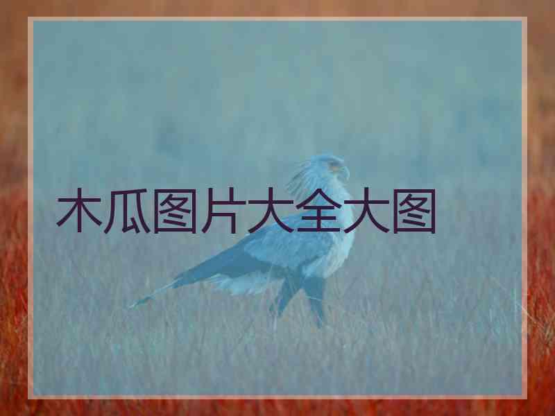 木瓜图片大全大图