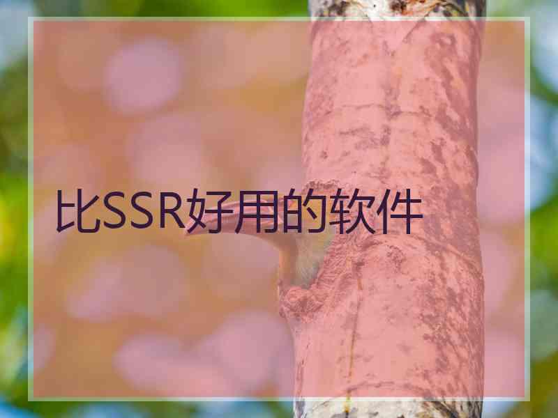 比SSR好用的软件