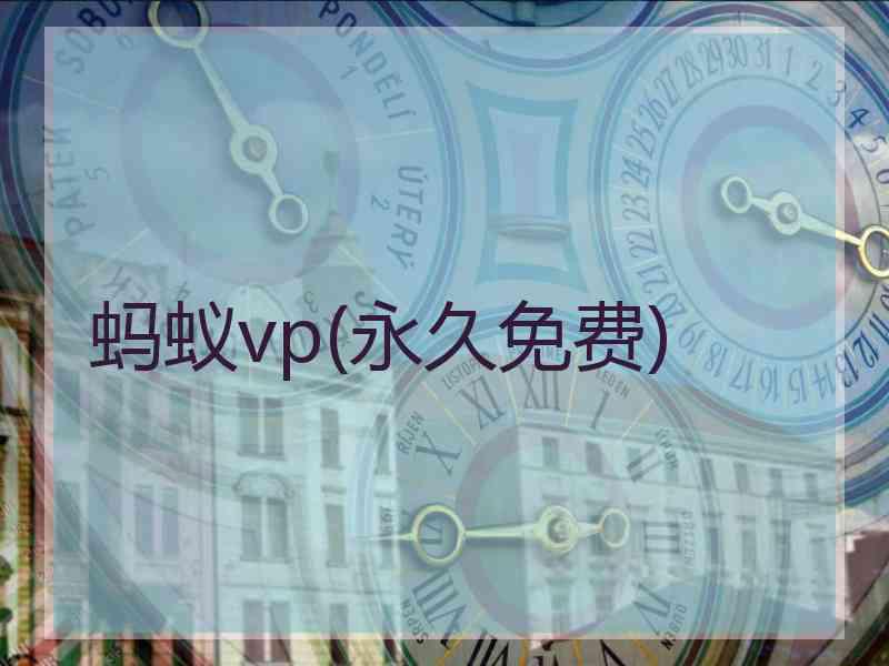 蚂蚁vp(永久免费)