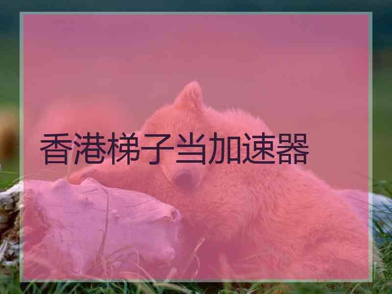 香港梯子当加速器